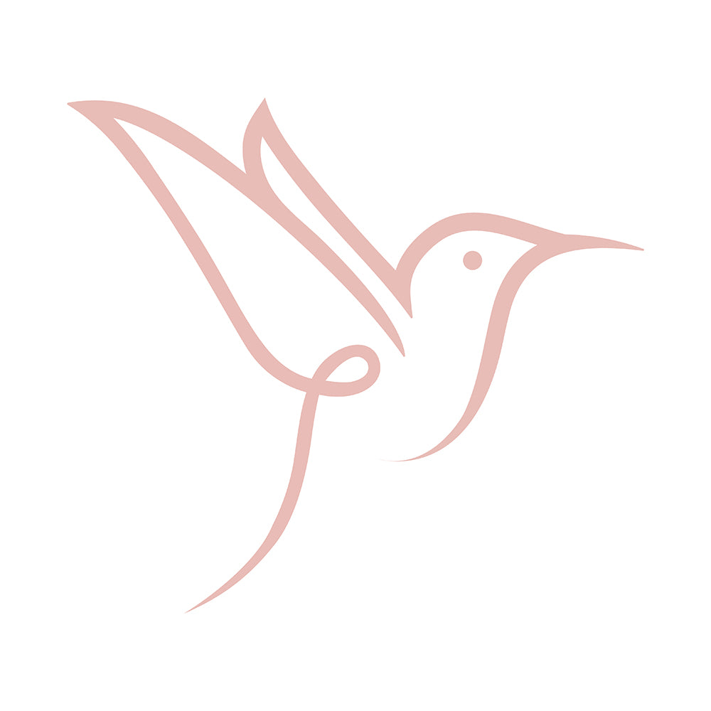 Rhyle Logo Square Bird